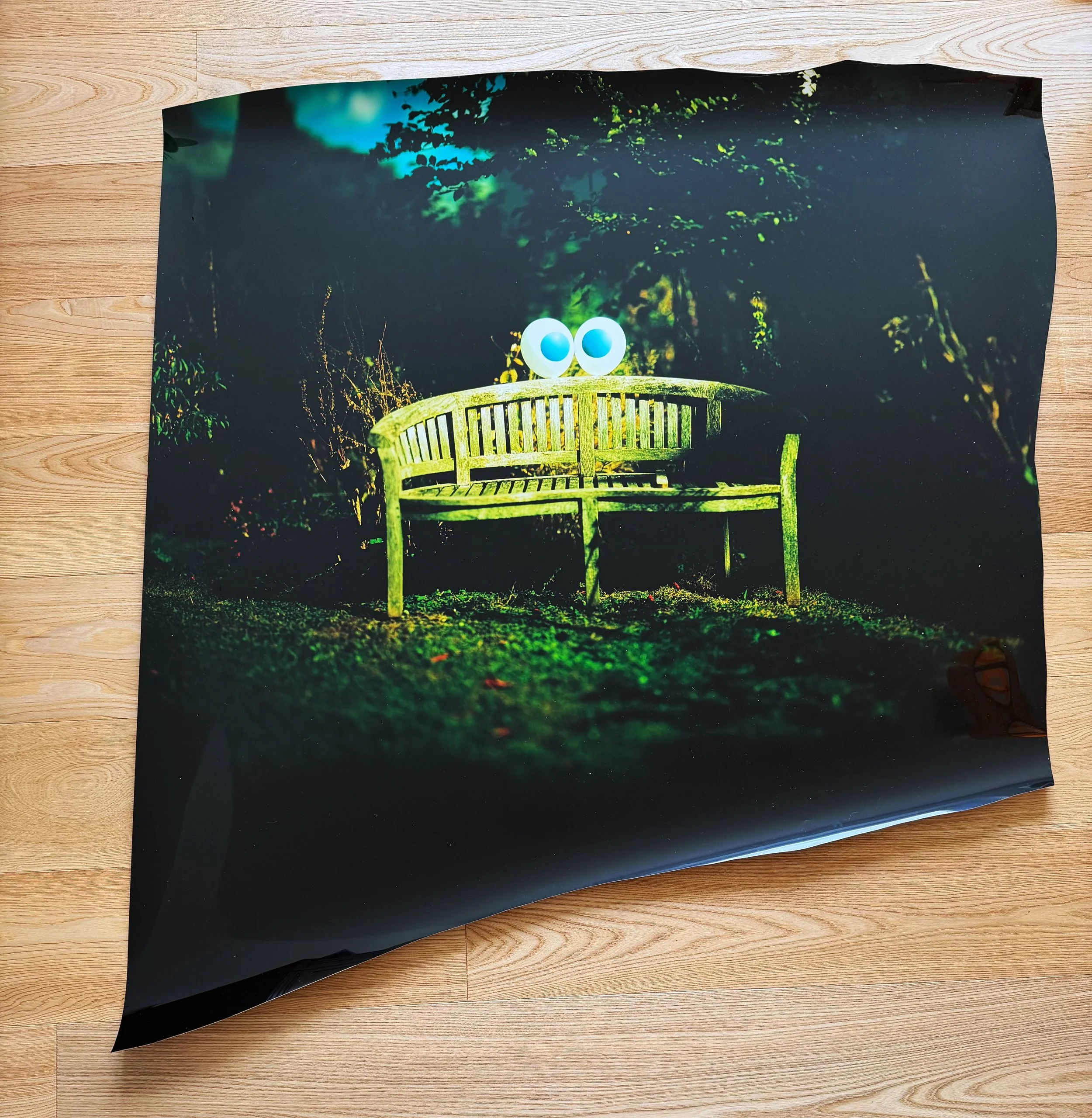 Une photographie physique aux bords visibles, représentant un banc dans un jardin, présentée sur le site de l’artiste.